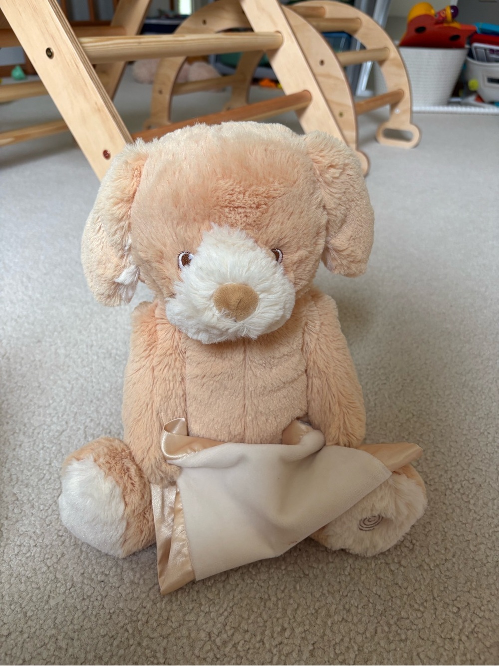 Plush Puppy peek-a-boo